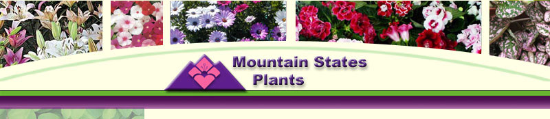 Mountain States Plants